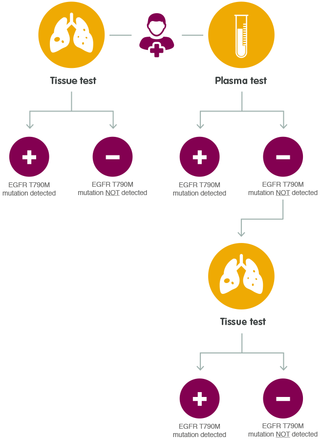 lung-diagram3